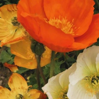 爱游戏全站截图